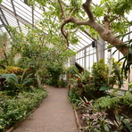 Garfield Conservatory, Indianapolis