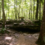 Wolf Cave, McCormick's Creek State Park, Indiana